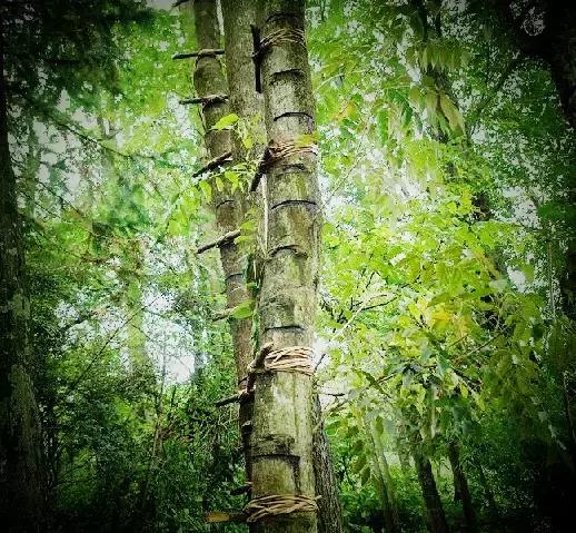 从设计师到漆艺家,他以慢对抗这世界的浮躁