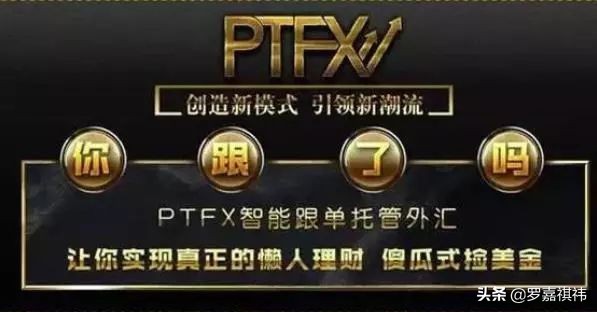 伪金融PT千亿巨骗东窗事发，百余万会员彻夜难眠，血流成河