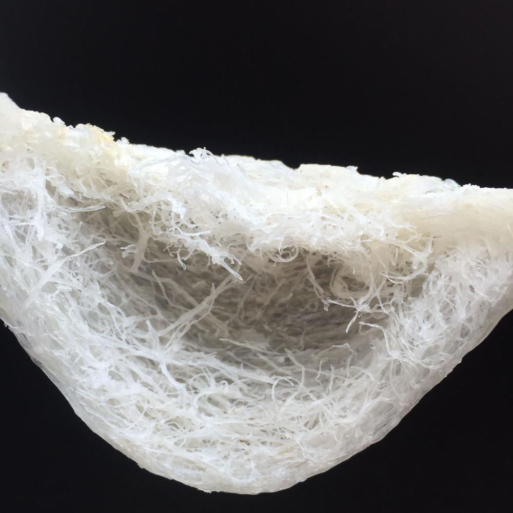 印尼燕窝跟马来燕窝哪个好,sohealthy燕窝是印尼燕窝吗