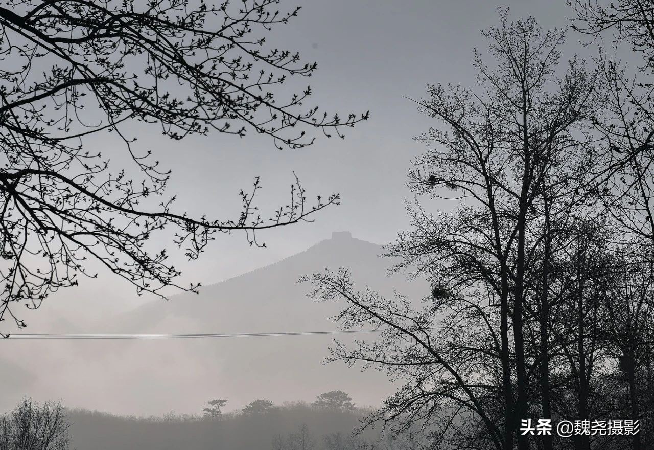 雪+雾凇+侧金盏+款冬=一次完美寻花之旅