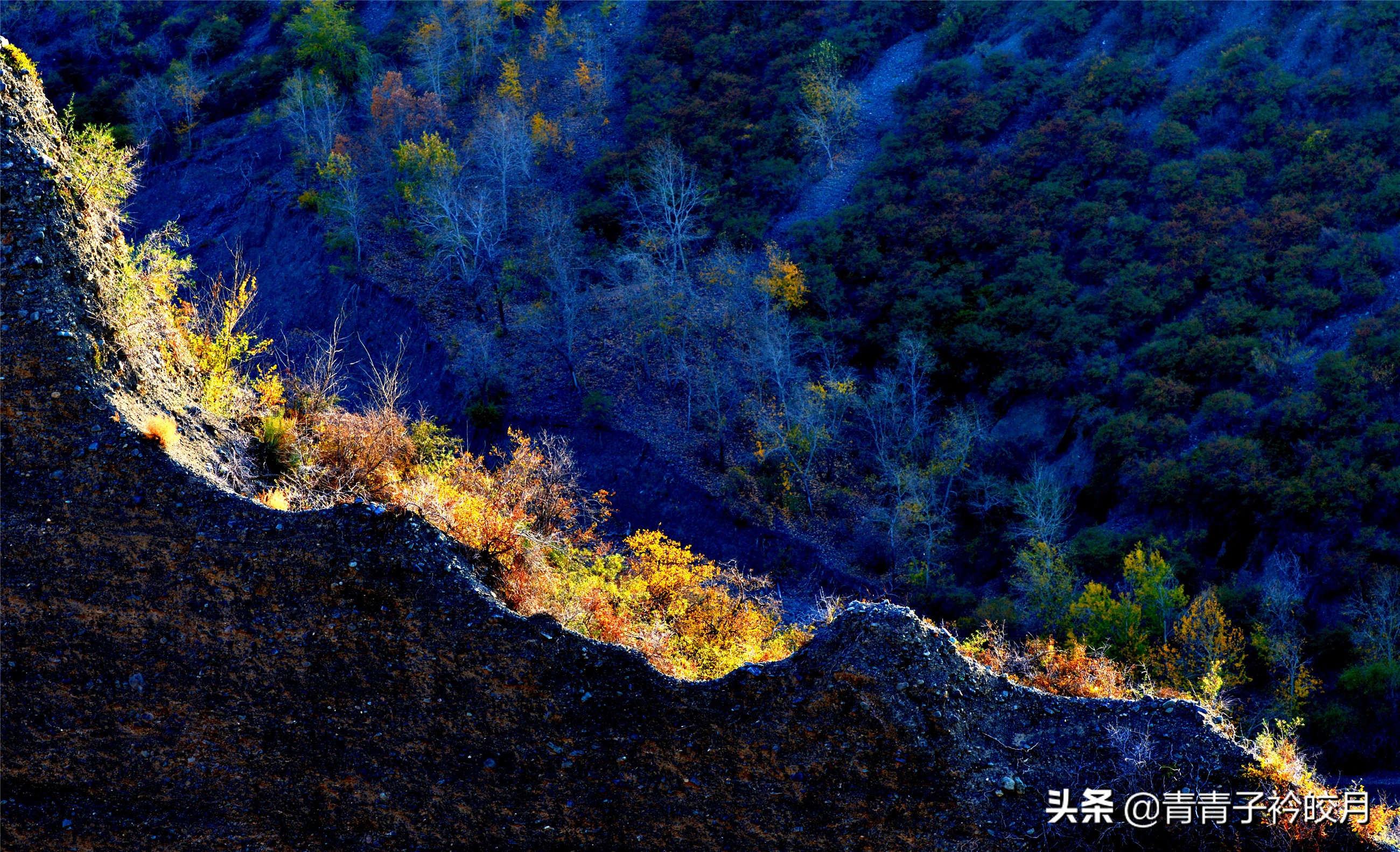 新疆的十大峡谷景点排名,新疆值得玩的大峡谷