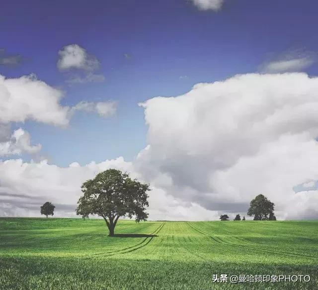 ps里cmyk曲线调色原理及技巧,ps曲线实用技巧学会了吗