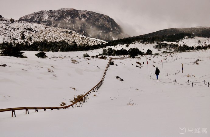 济州岛五日游详细攻略,济州岛4天亲子游攻略