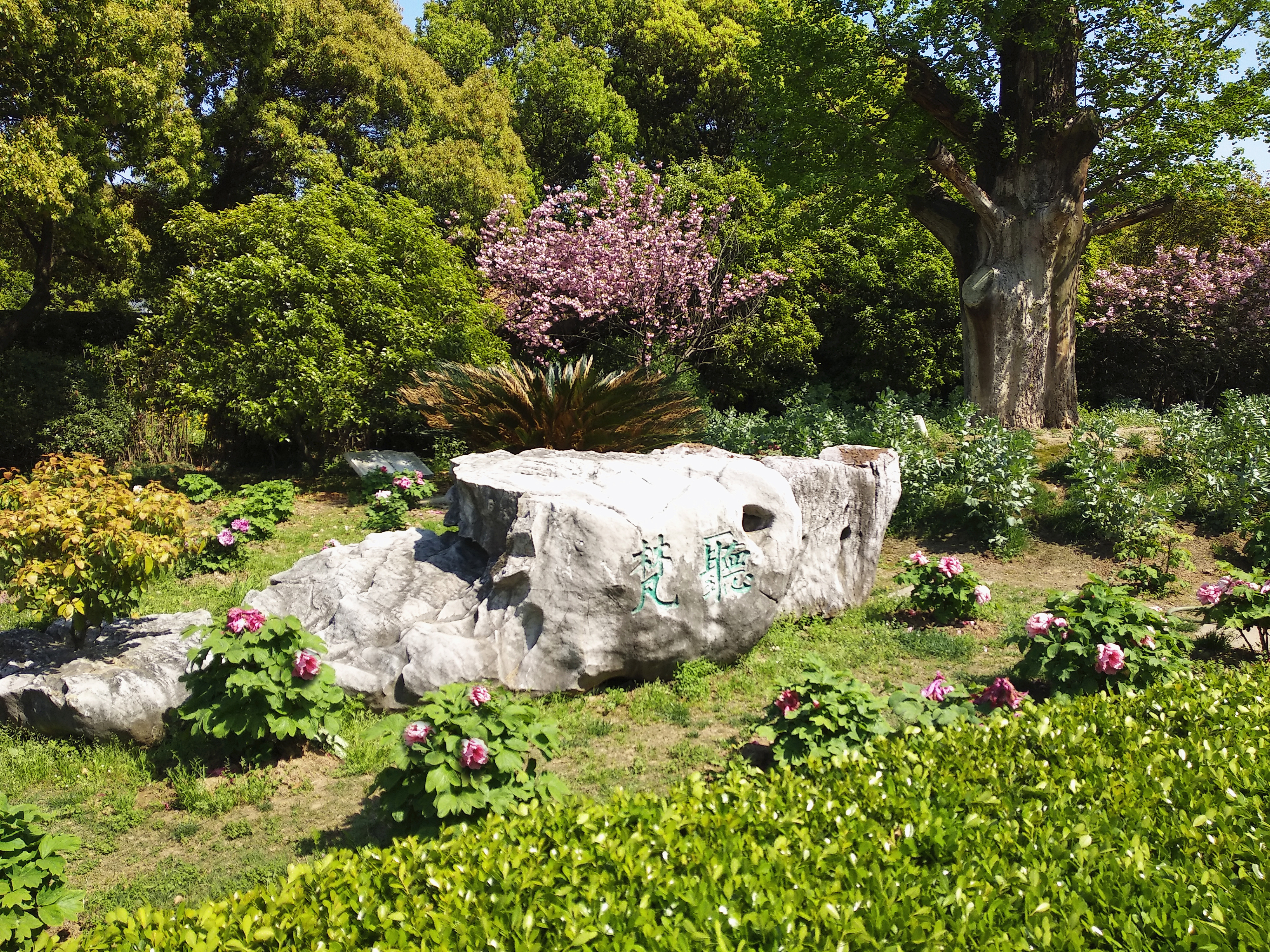 第八章七华东五市游苏州篇如诗如画寒山寺下
