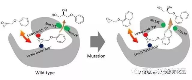 乙二胺固化环氧树脂方程式,环氧树脂材料方程式