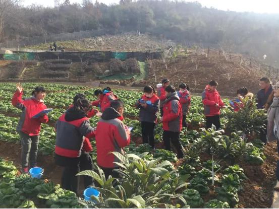 南京市金陵小学和园,南京市六合金陵小学