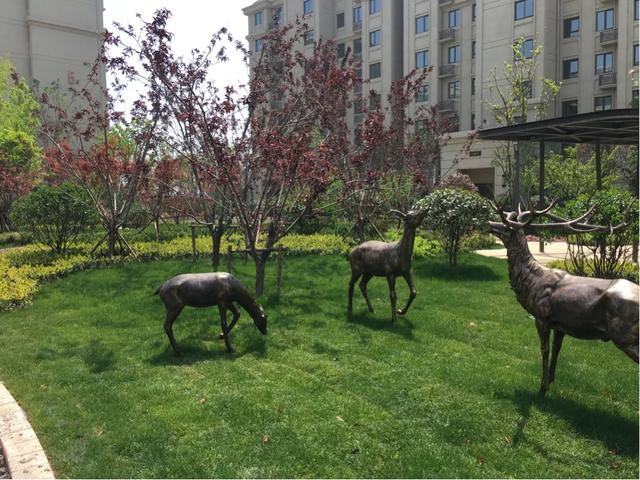 选二楼会有哪些缺点,二楼的优点和缺点