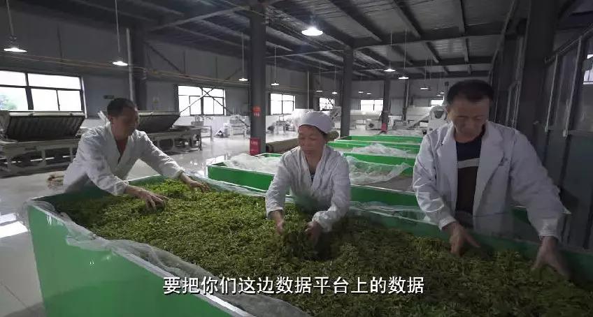 布瑞克农产品数据库,布瑞克农业数据库下载