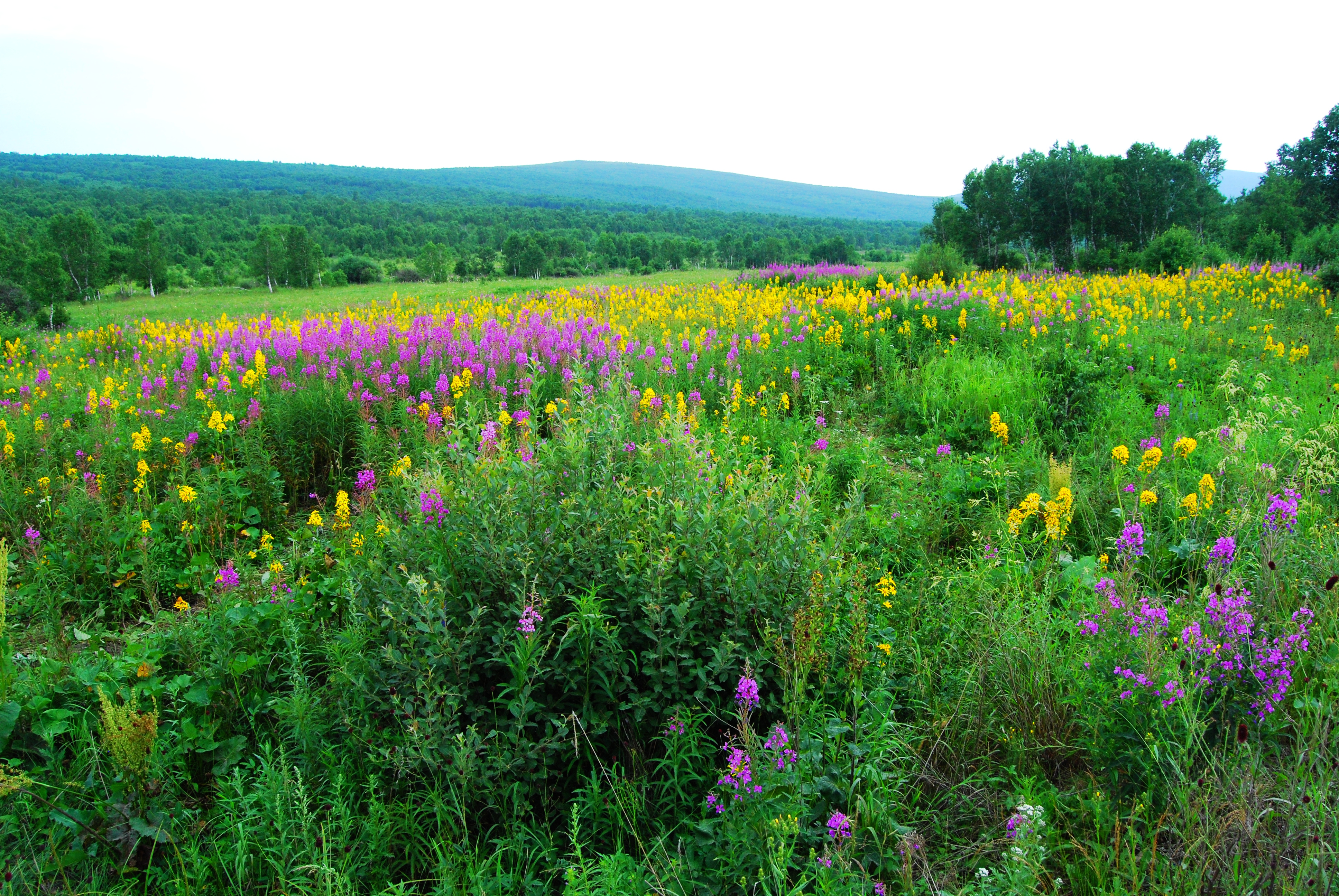 一辆车,从东乌旗沿中蒙边境公路到阿尔山,漫长边关寻迹历史遗存