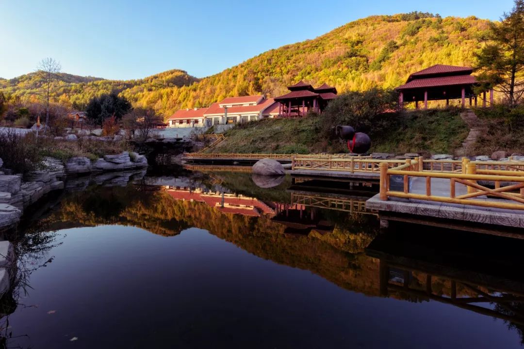 近期郑州出发特价机票,2021郑州特价机票