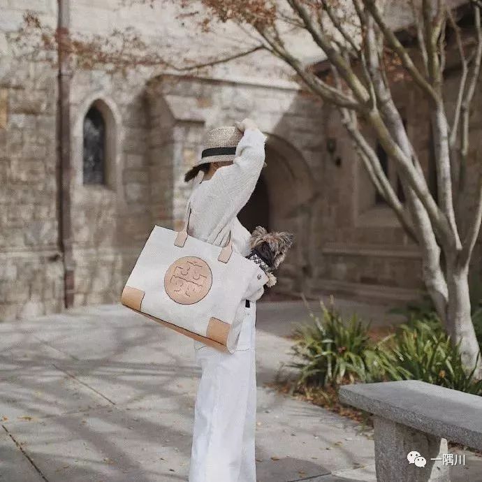 上班族都背哪些包,日常上班背什么包好