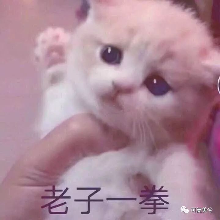 整形医院薅羊毛,整形医院的获客之道