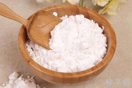 粘鼠板粘到老鼠怎么去除,粘鼠板粘到老鼠怎么处理