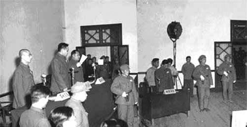 两只老鼠引发的间谍大案,两只老鼠引出的特大间谍案