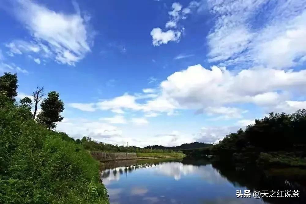 诗情绘美景文章颂茗香I天之红庄园秋行采风