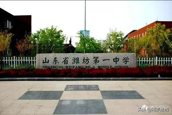 世界500强潍坊,潍坊入选高中500强