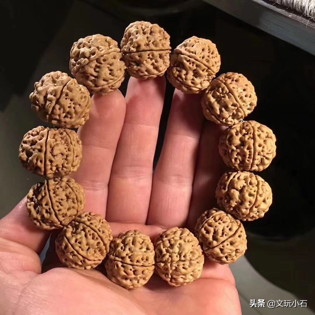 金刚菩提入门知识,新手必备,掌握了三言两语就能让别人刮目!