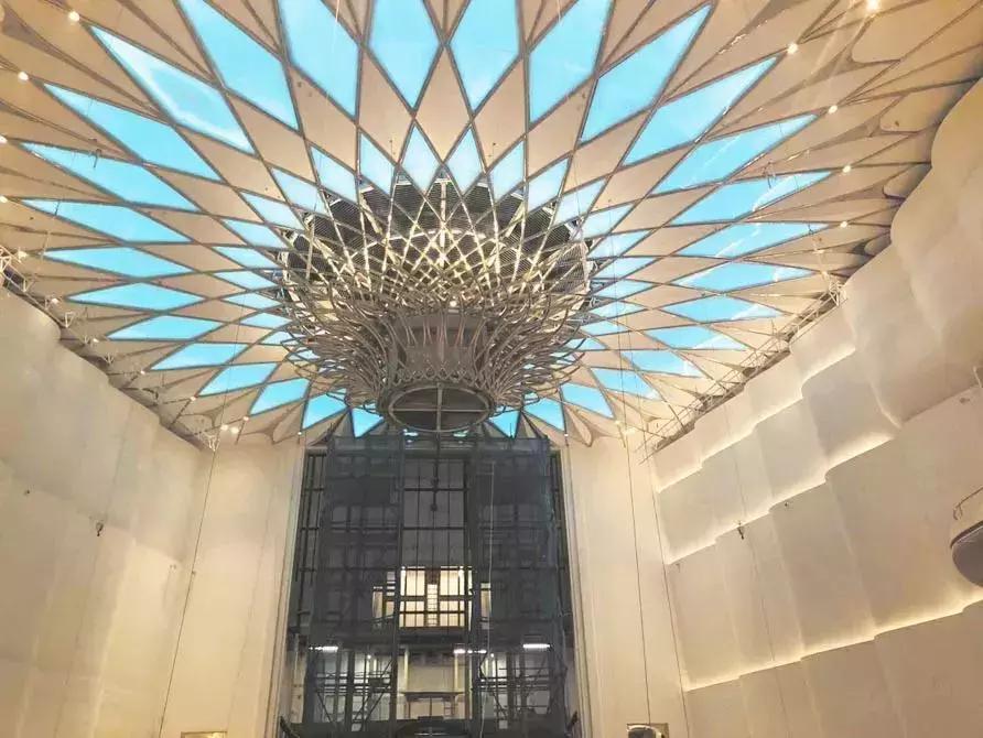 小长假捧回*荣大**誉！武侯这群小学生不得了