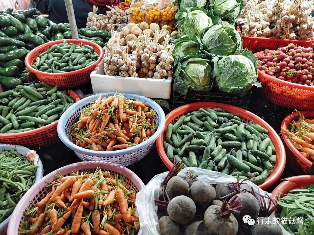 越南美奈跟大叻哪个更值得去,胡志明美奈大叻游