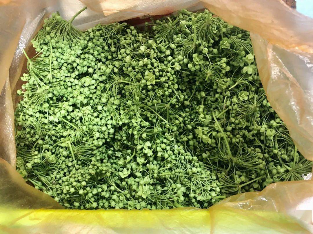 云南带毒的美食,云南带菌的美食