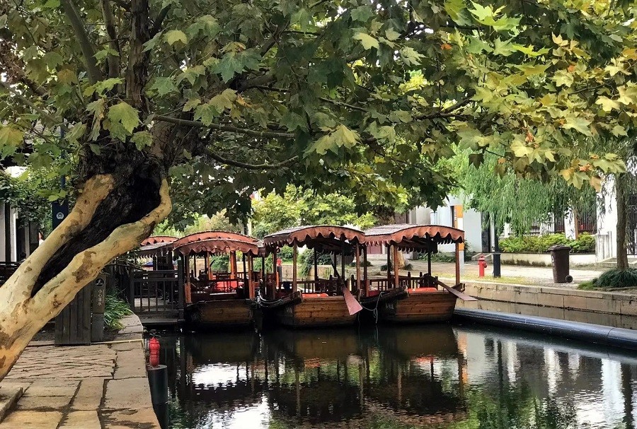 苏州最无商业化的古镇,苏州不为人知的古镇