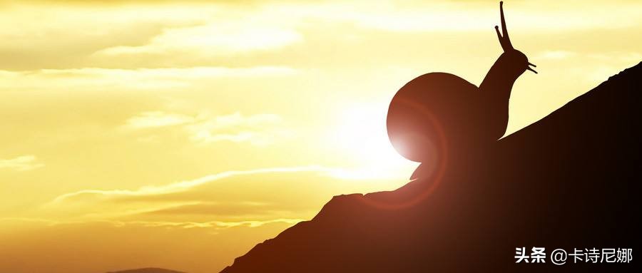 小故事大智慧100篇简短六年级,小故事大智慧100篇简短