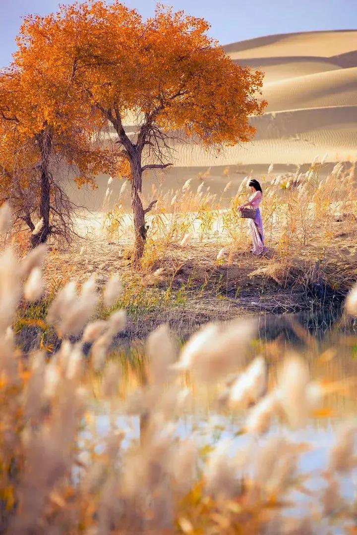 终于攒够了年假,年假怎么攒