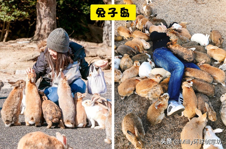 日本家庭奇葩现象,去了趟日本发现几个奇怪现象