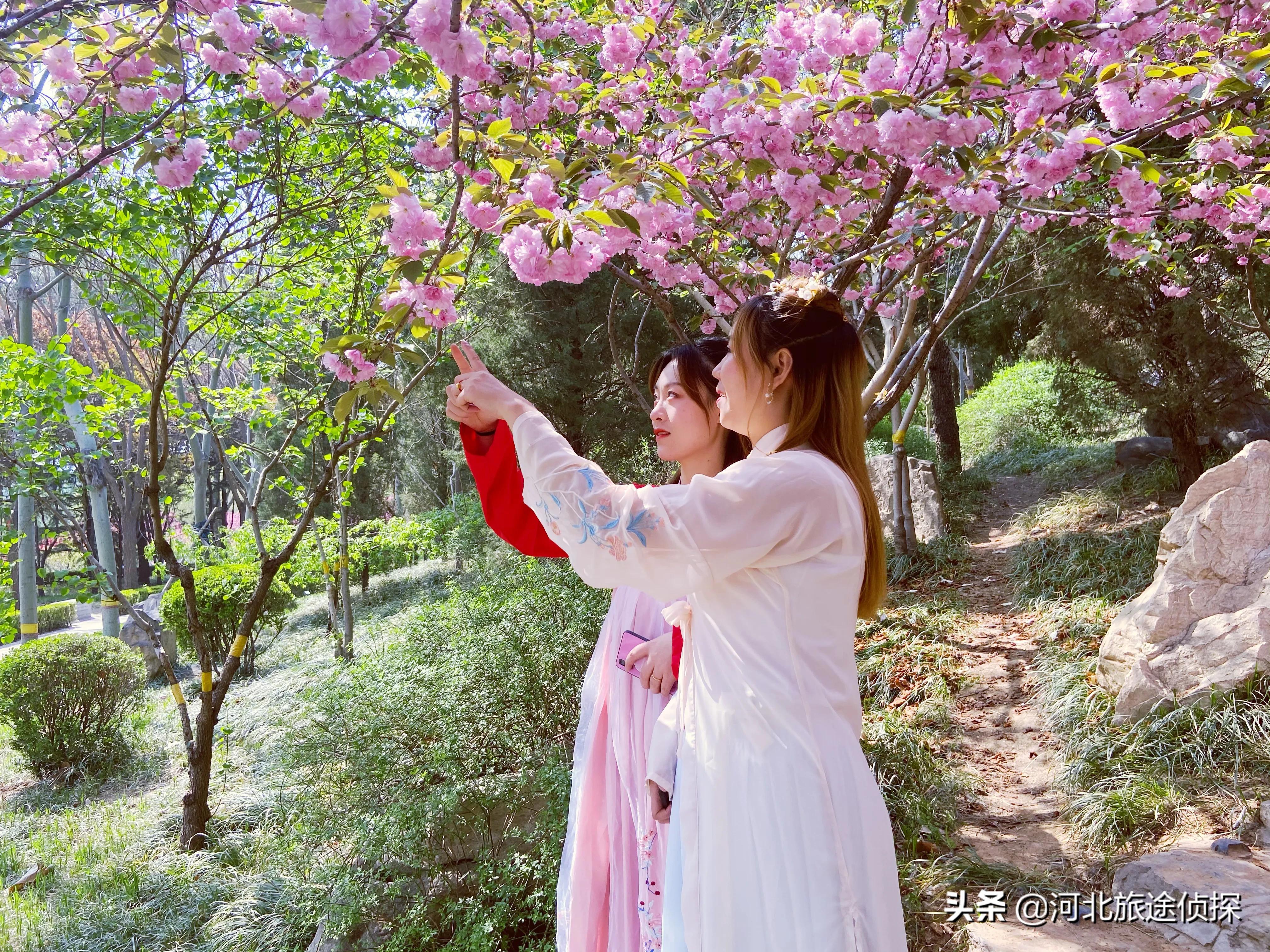 石家庄海山公园,石家庄鹿泉海山岭森林公园