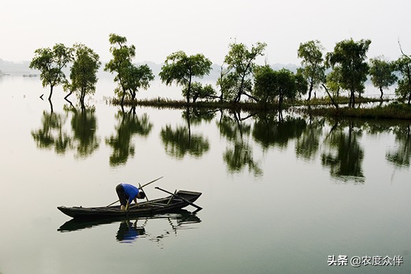 资阳田园乡村旅游景点,湖南省益阳市桃江县美丽乡村