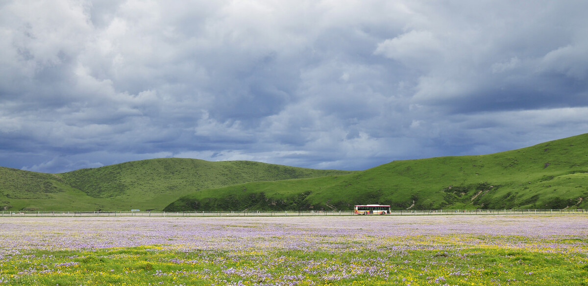 九色甘南之旅,九色甘南净土天堂深度之旅攻略