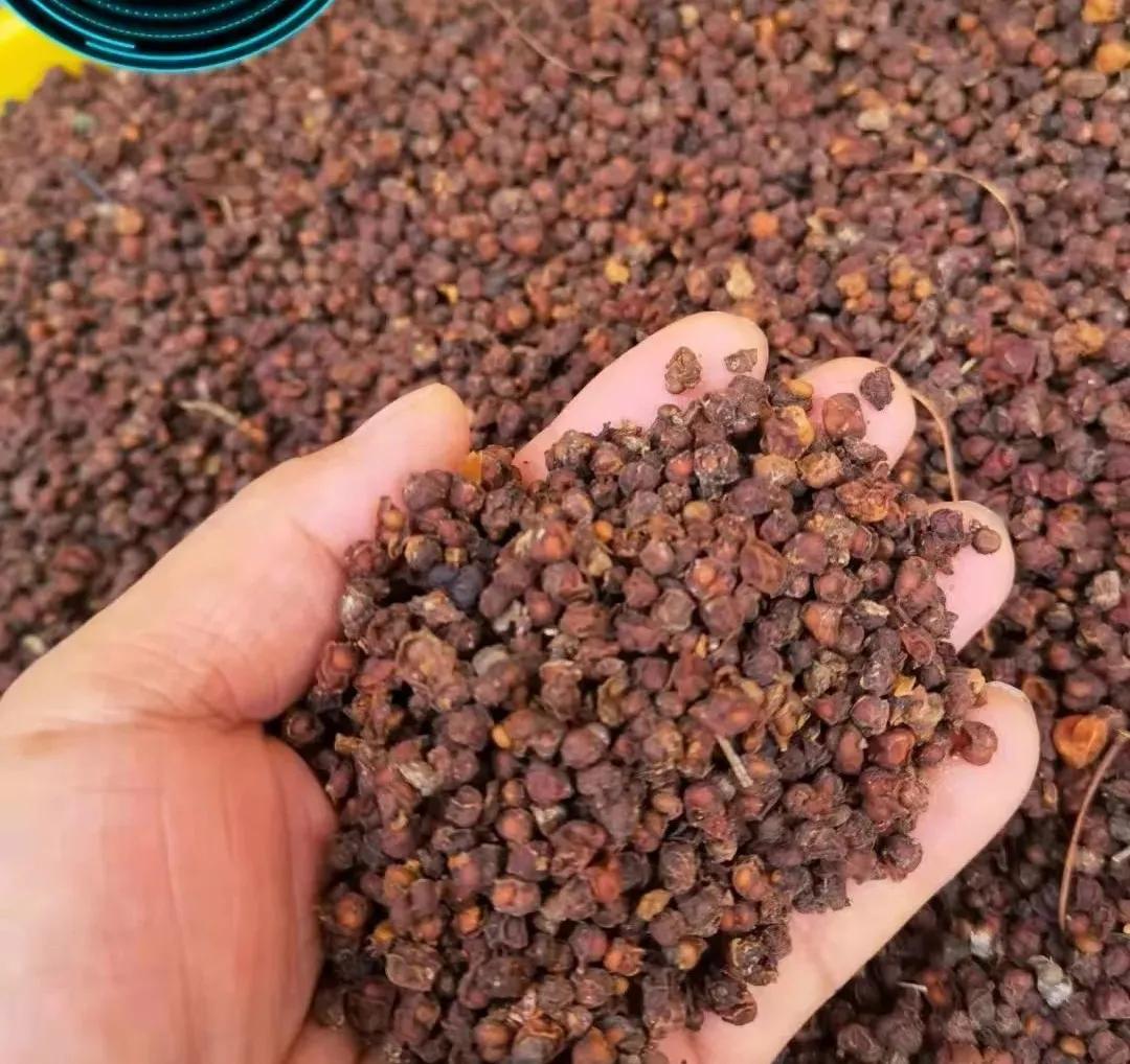 上海工作十几年回郑州发展,上海创业10年回家乡