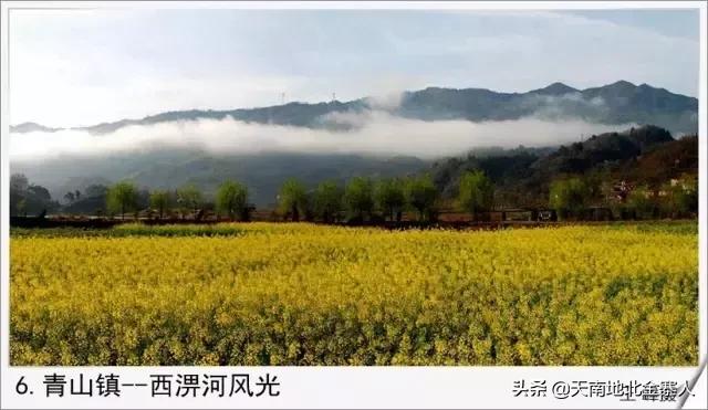 你好我叫王思聪微博截图,你好我叫阿杰