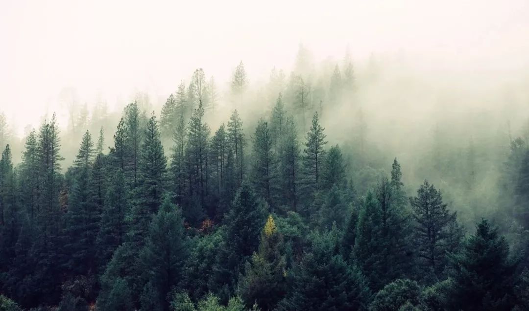 领导绝对不会告诉你的六件事,领导绝不告诉你的六件事