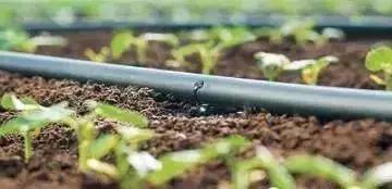 物联网水肥一体化以色列,菜吧家庭农场运营