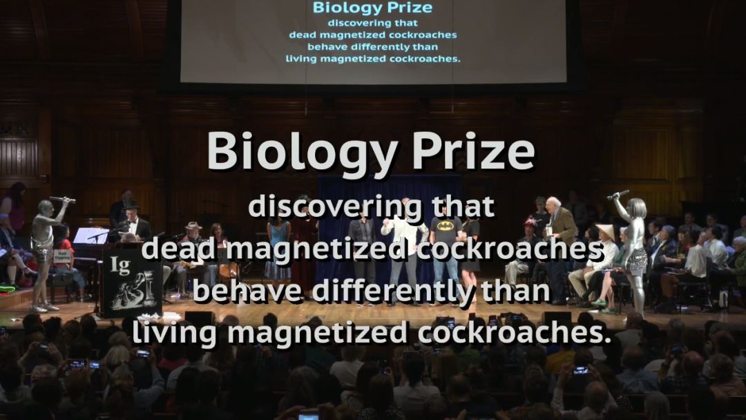 那些奇葩的诺贝尔奖,有趣的诺贝尔奖视频