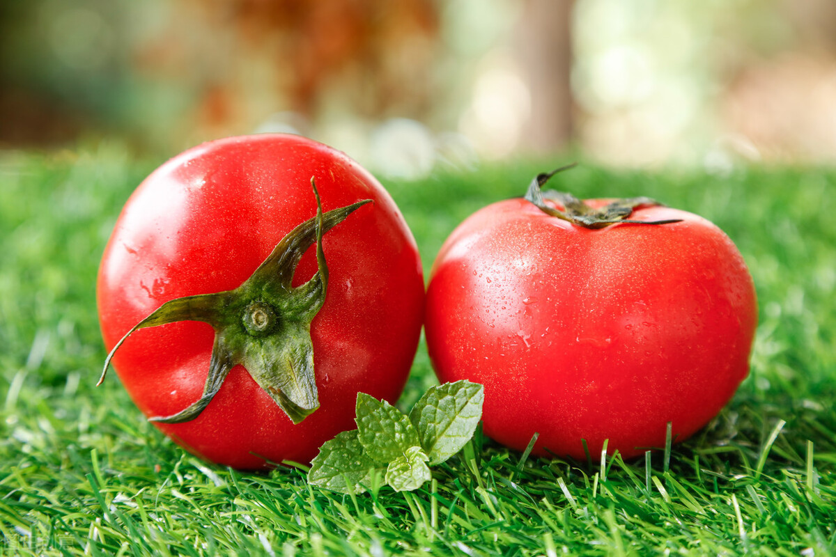 江桥市场菜价,上海蔬菜批发市场蒜薹价格