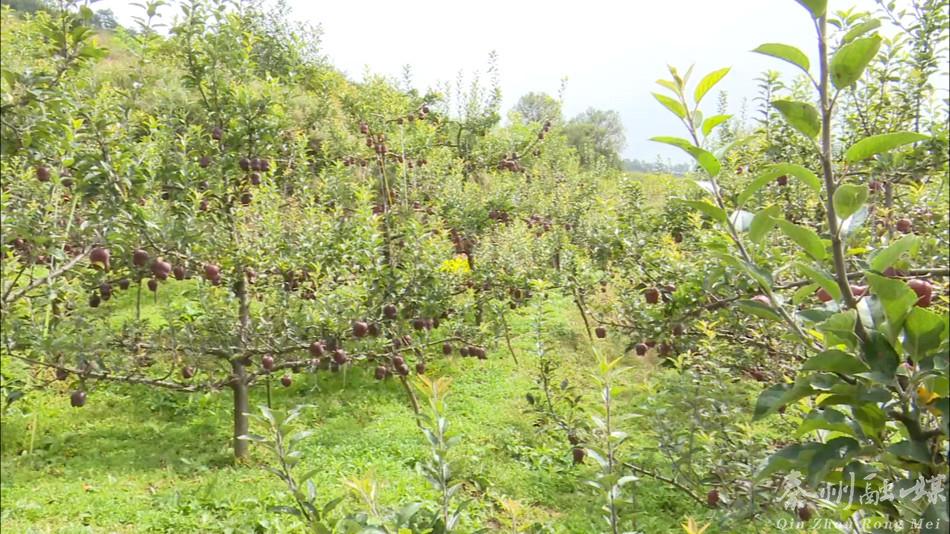 走向我们的小康生活广西,走向我们的小康生活甘肃