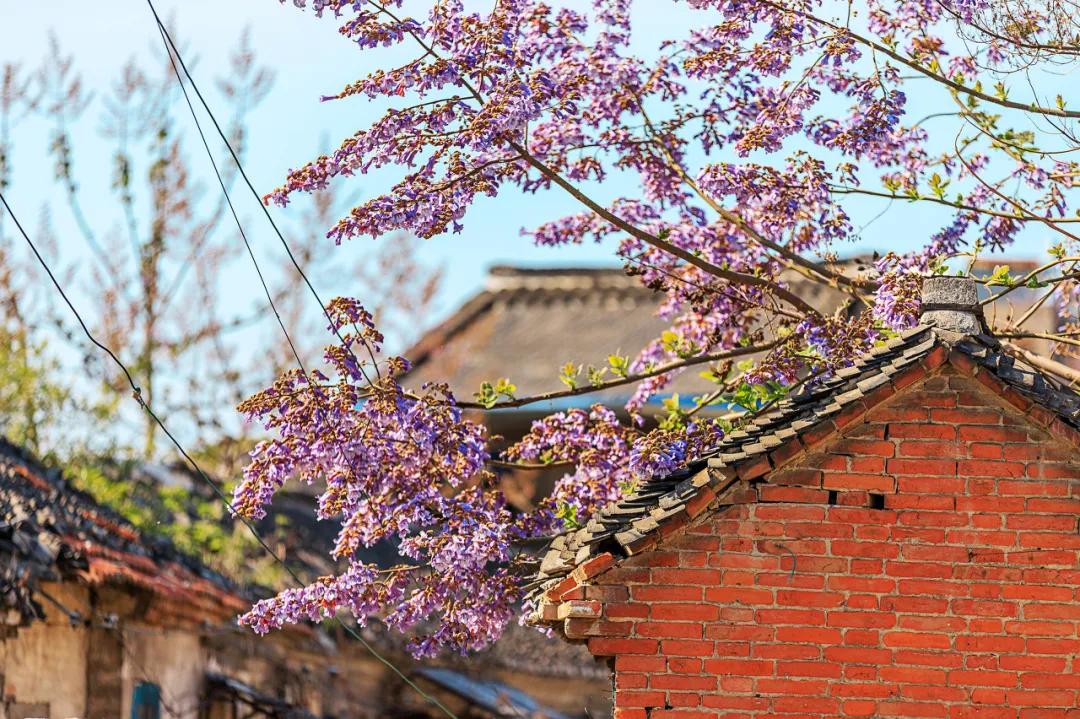 泰州中国最幸福的城市,泰州哪里比扬州好