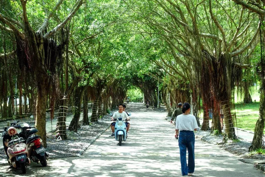 三亚学院21年新生报到,三亚学院新生入学教育