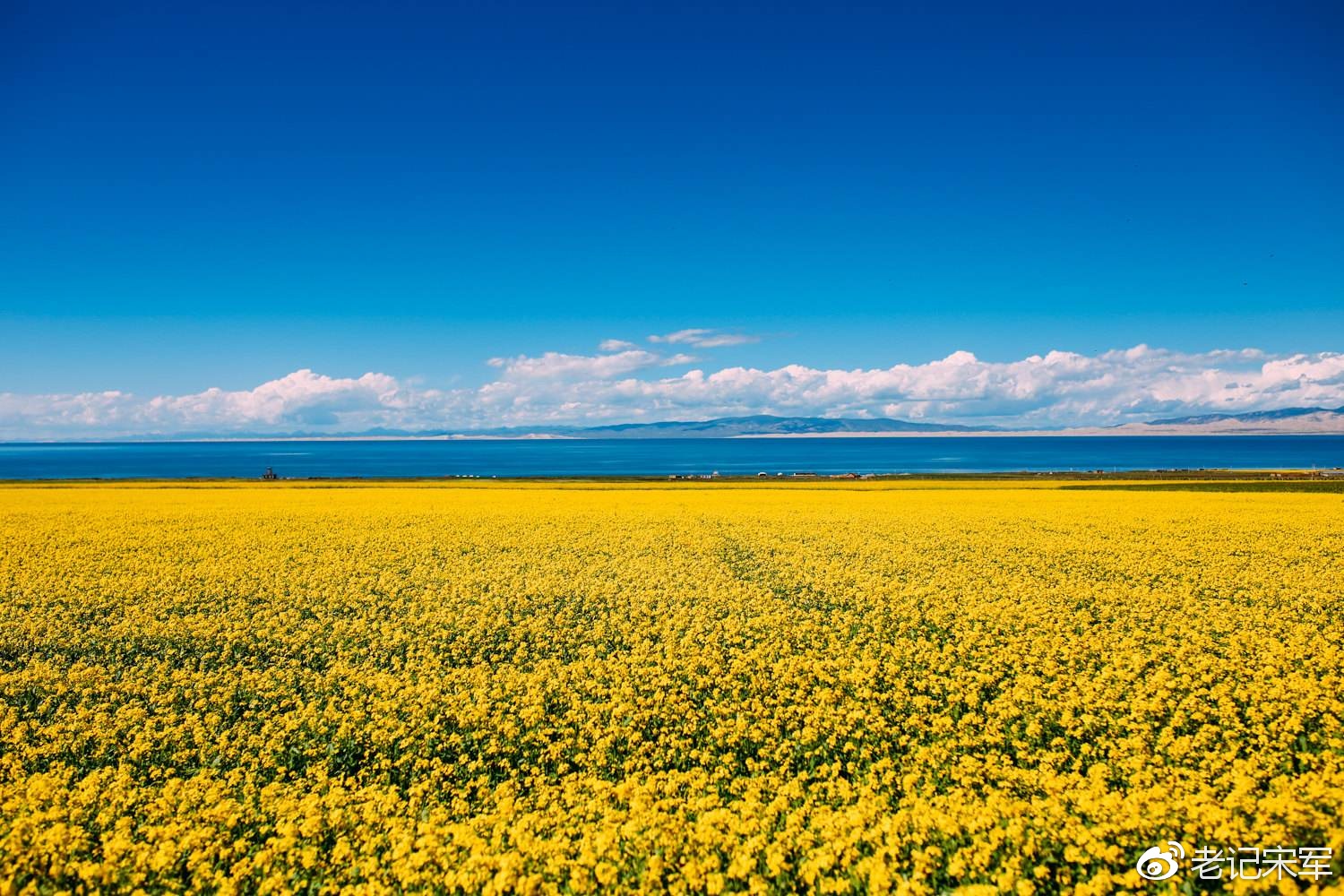 有一个遥远的地方完整版,有一种美叫青海