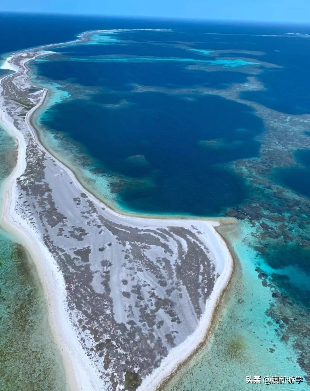 澳洲游学满载而归,澳洲亲子游学日程安排