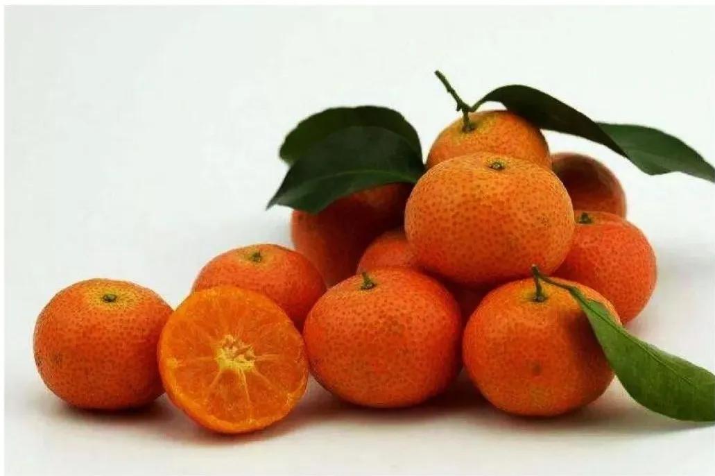 厦门同安周末踏青好去处,厦门岛内踏青景点大全