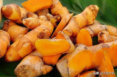 乐山适合种植什么中药材,乐山中药材淫羊藿