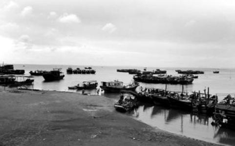 七子之歌是指哪七子都回归了吗,七子之歌中七子是哪七子