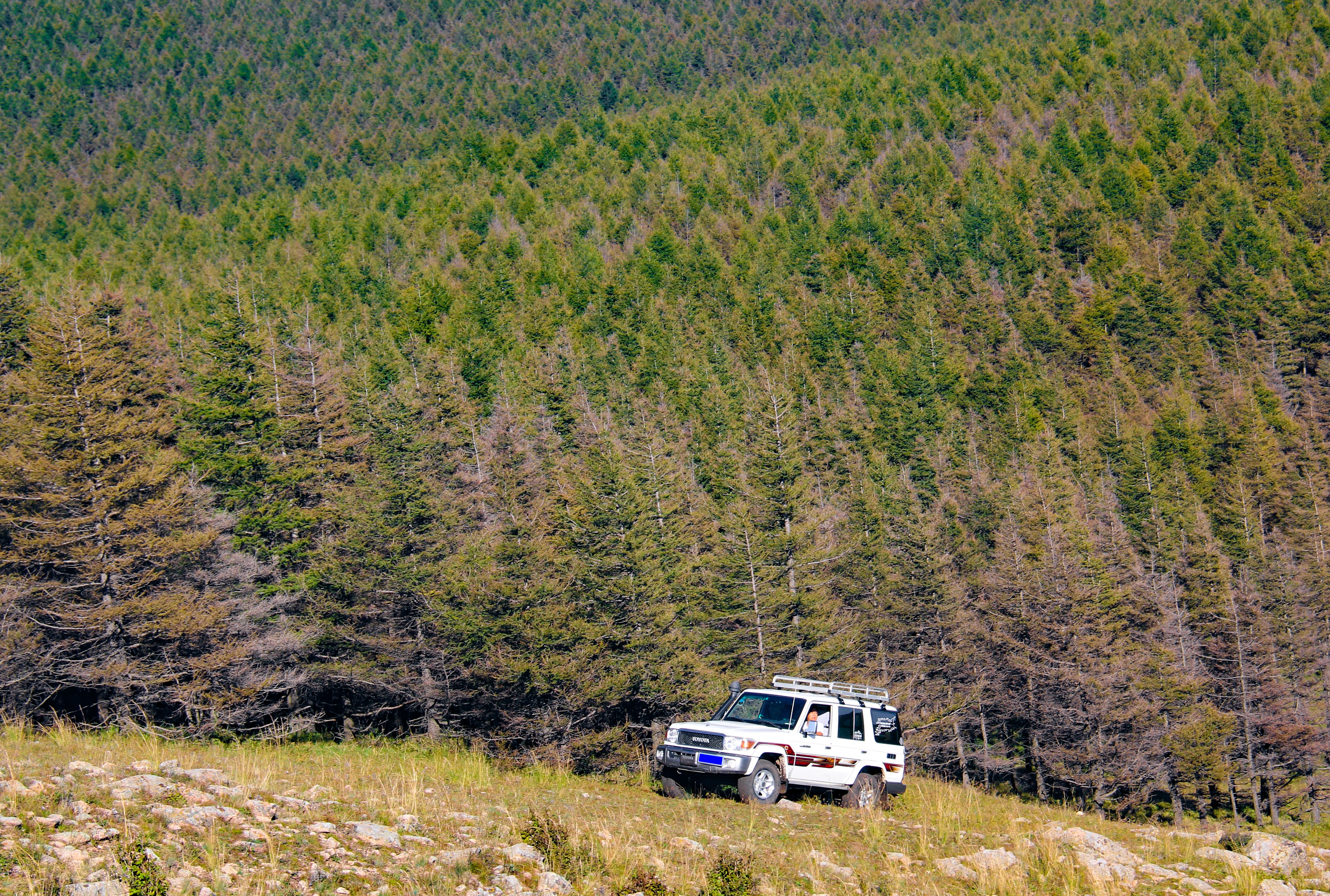 丰田lc76的用车感受,深度解析丰田lc76