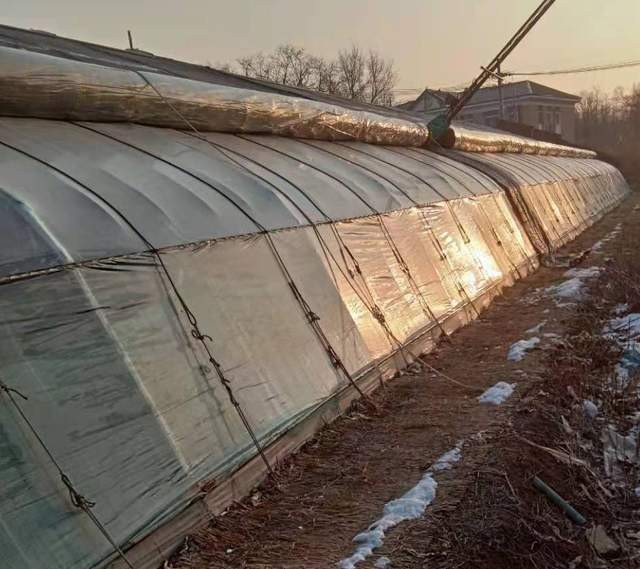 喜大普奔大结局,喜大普奔最后怎么样了