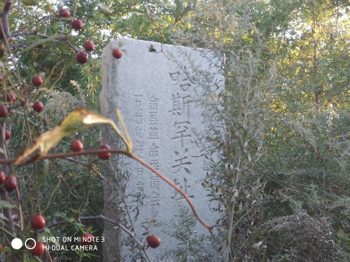 大连长兴岛长城,大连长城4s店