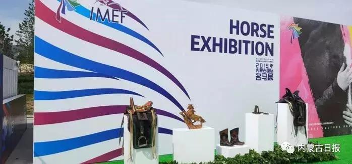 汗血宝马马术表演,汗血宝马蒙古马赛跑