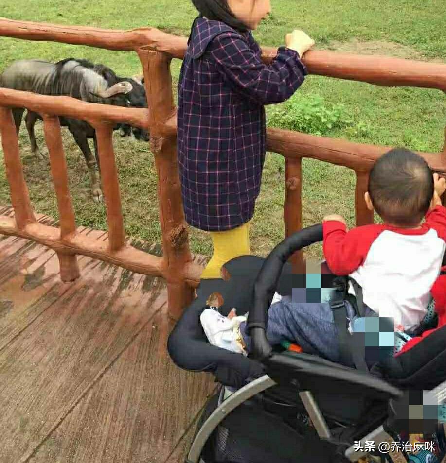 婴儿用品也有鄙视链？这种推车在妈妈圈垫底，你家排哪层？